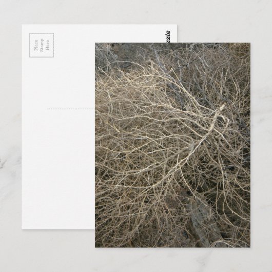 Rustikales Tumbleweed Postkarte (Vorne/Hinten)
