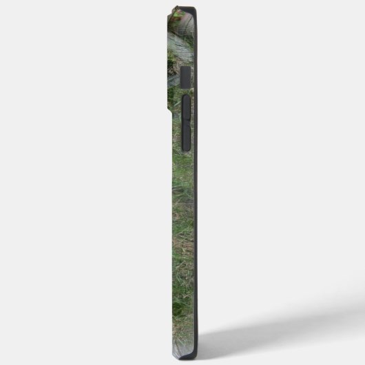 Rustikales Wagenrad im Western Case-Mate iPhone Hülle (Rückseite / Links)