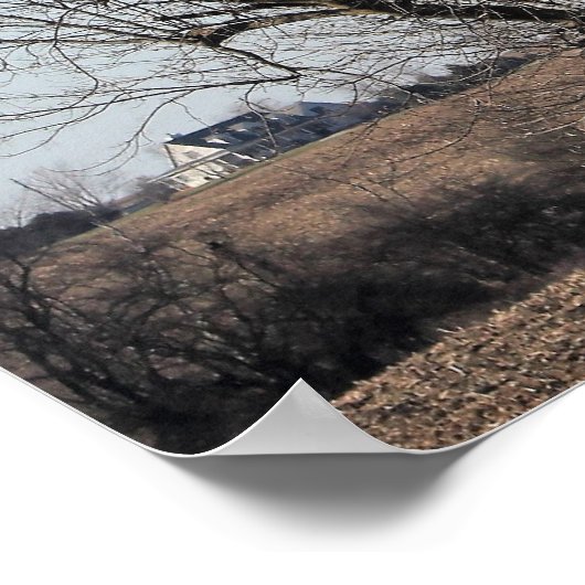 Rustikales Weißbun-Foto Poster (Ecke)