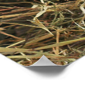 Rustikales Weißmilch Jug mit Blume Hochzeitsempfan Poster (Ecke)