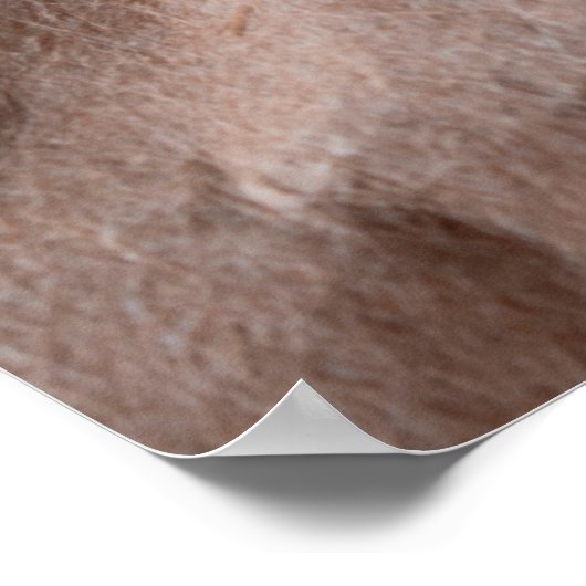 Rustikales zerbrochenes Papier Poster (Ecke)