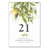 Rustikales Zitronengrün Hochzeitszelt Tischnummer (Rückseite)