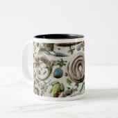 Rustique Figuline Teller mit einem weißen Zweifarbige Tasse (Vorderseite Links)