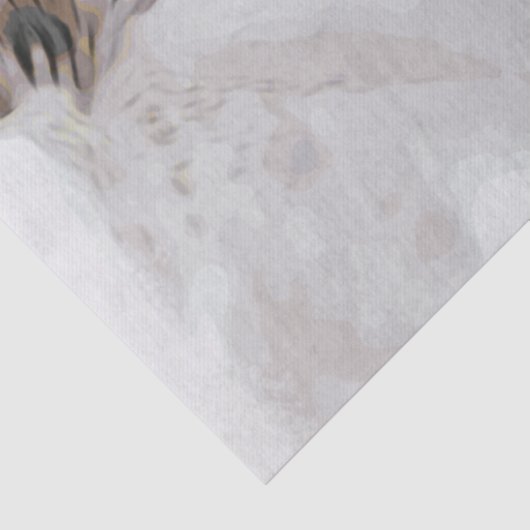 *~* Rustische Grunge Azalea Blume Weiße Neutrale Seidenpapier (Detail)