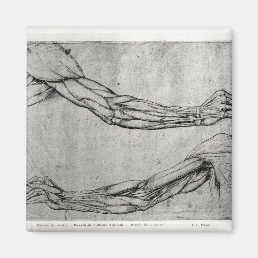 Rüstungsstudie Magnet (Vorne)