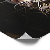 Rusty Bicycle Poster (Ecke)