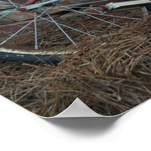 Rusty Bicycle Poster (Ecke)