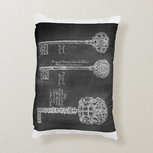 Rusty Chalkboard Viktorianische Steampunk-Skelettt Zierkissen (Rückseite(Vertikal))