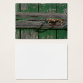 Rusty Door Handle an der grünen Tür (Vorne & Hinten)