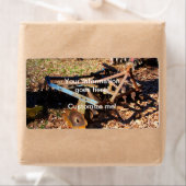 Rusty Farm Field Equipment (Insitu)