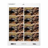 Rusty Farm Field Equipment (Vorne)