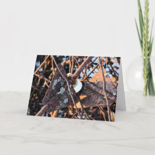 Rusty Junk Pile, Geburtstag Karte