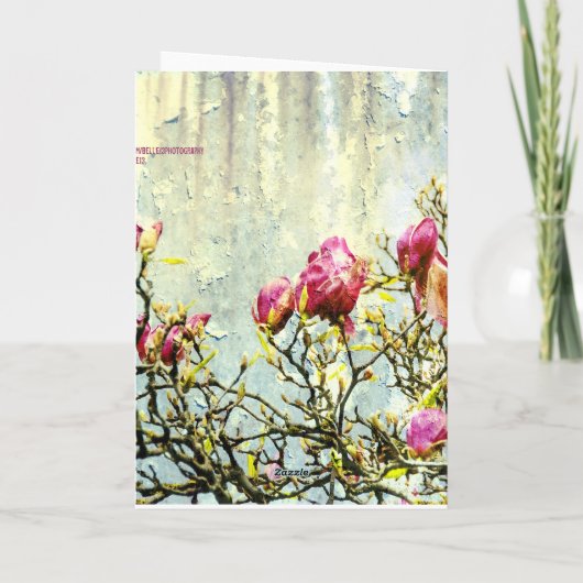 Rusty Magnolia Karte (Rückseite)