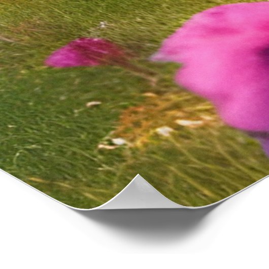 Rusty old Combi Van mit Blume Poster (Ecke)