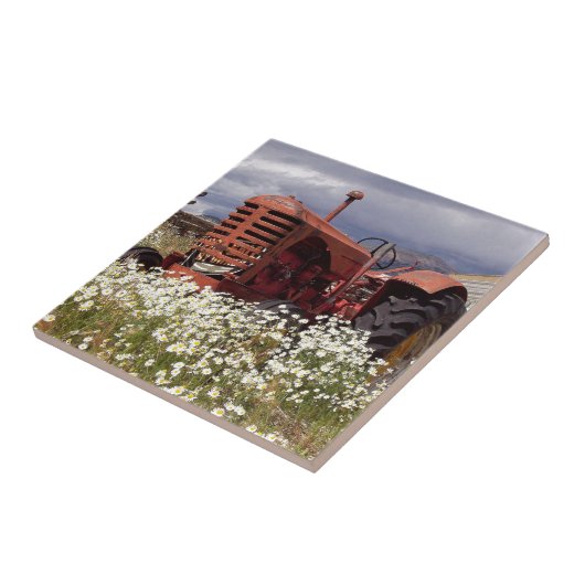 RuSTY OLD Vintag TRaCTOR Fliese (Seite)