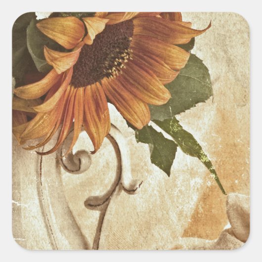 Rusty Orange Sunflowers Quadratischer Aufkleber (Vorderseite)
