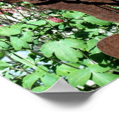 Rusty Rabbit Columbine Flower Garden Poster (Ecke)