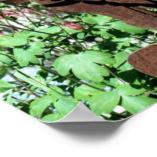Rusty Rabbit Columbine Flower Garden Poster (Ecke)