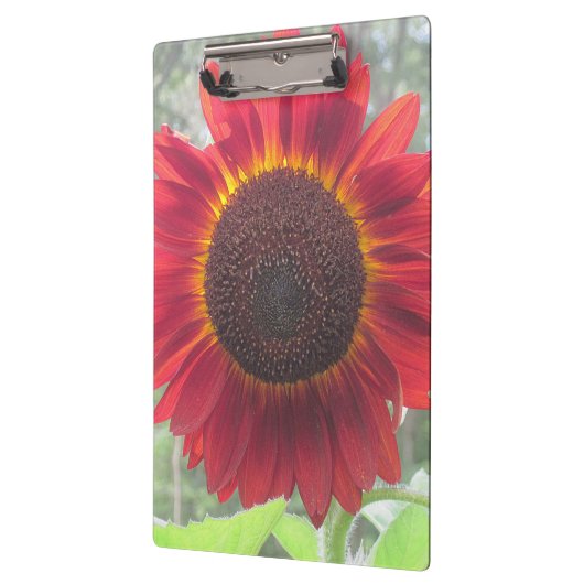 Rusty Red Sunflower Clipboard Klemmbrett (Links)