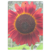 Rusty Red Sunflower Clipboard Klemmbrett (Rückseite)