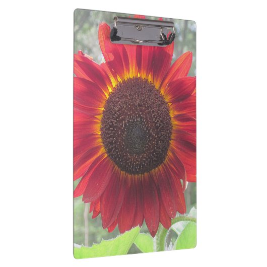 Rusty Red Sunflower Clipboard Klemmbrett (Rechts)