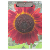 Rusty Red Sunflower Clipboard Klemmbrett (Vorderseite)