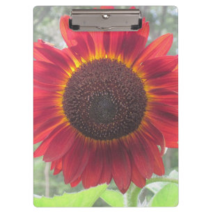 Rusty Red Sunflower Clipboard Klemmbrett