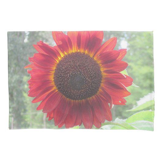 Rusty Red Sunflower Kissenbezug (Vorderseite)