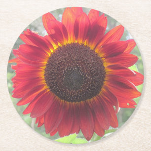 Rusty Red Sunflower Party Untersetzer