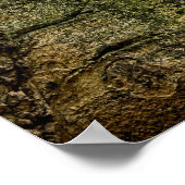 Rusty Red Truck Vintag Poster (Ecke)