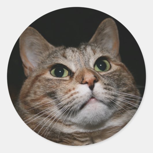 Rusty Runder Aufkleber (Vorderseite)