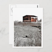 Rusty Scheune Postkarte (Vorne/Hinten)