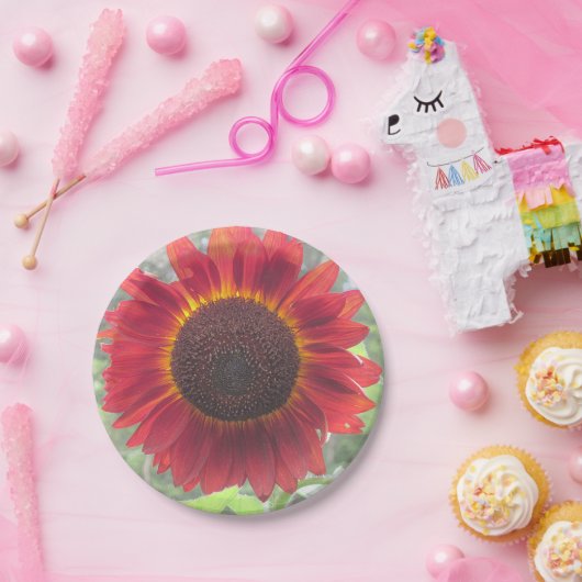 Rusty Sonnenblumenpapierplatte Pappteller (Party)
