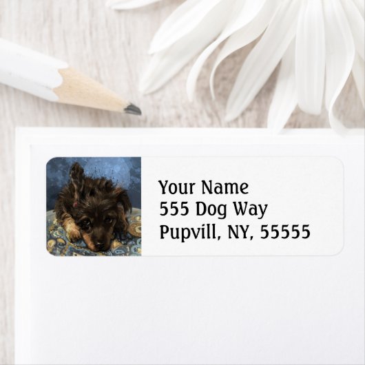 Rusty the Poodle (Insitu)