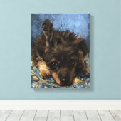 Rusty the Poodle Leinwanddruck (Insitu (Holzboden))