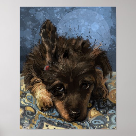 Rusty the Poodle Poster (Vorne)