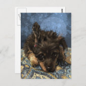 Rusty the Poodle Postkarte (Vorne/Hinten)