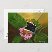 Rusty-tipped Butterfly Postcard von Maria Williams Postkarte (Vorne/Hinten)