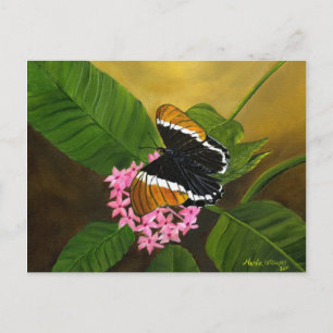 Rusty-tipped Butterfly Postcard von Maria Williams Postkarte