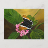 Rusty-tipped Butterfly Postcard von Maria Williams Postkarte (Vorderseite)