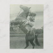 Ruth Roach über Tony, Cheyenne, Wyoming. Postkarte (Vorderseite)