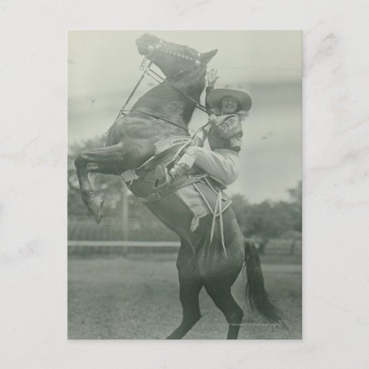 Ruth Roach über Tony, Cheyenne, Wyoming. Postkarte (Vorderseite)