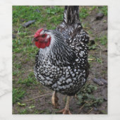 Ruth Weinetikett (Einzelnes Label)