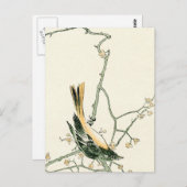 Ruticilla aurorea auf Pflaumenzweig - japanische K Postkarte (Vorne/Hinten)