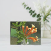 Rutsche 1 postkarte (Stehend Vorderseite)