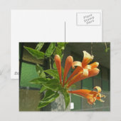 Rutsche 1 postkarte (Vorne/Hinten)