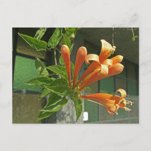 Rutsche 1 postkarte (Vorderseite)