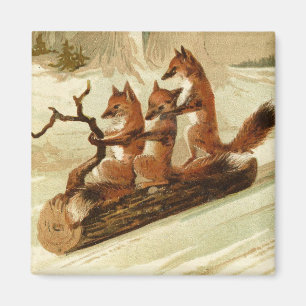 Rutschfoxenmagnet Magnet