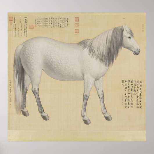 Ruyi cong("As-You-Wish" Piebald) Poster (Vorne)