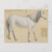 Ruyi cong("As-You-Wish" Piebald) Postkarte (Vorderseite)